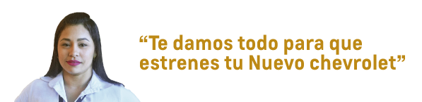 asesor comercial