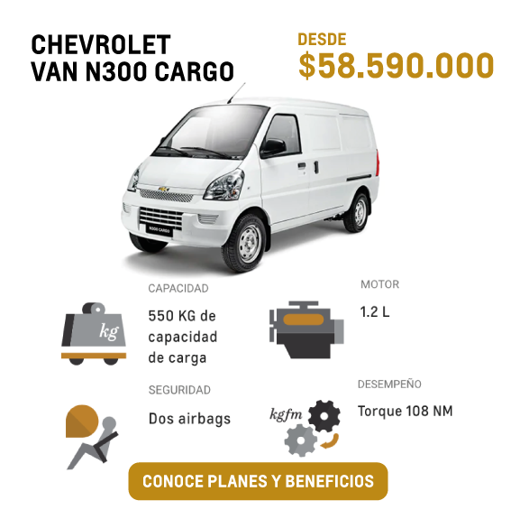 Van N300 Cargo